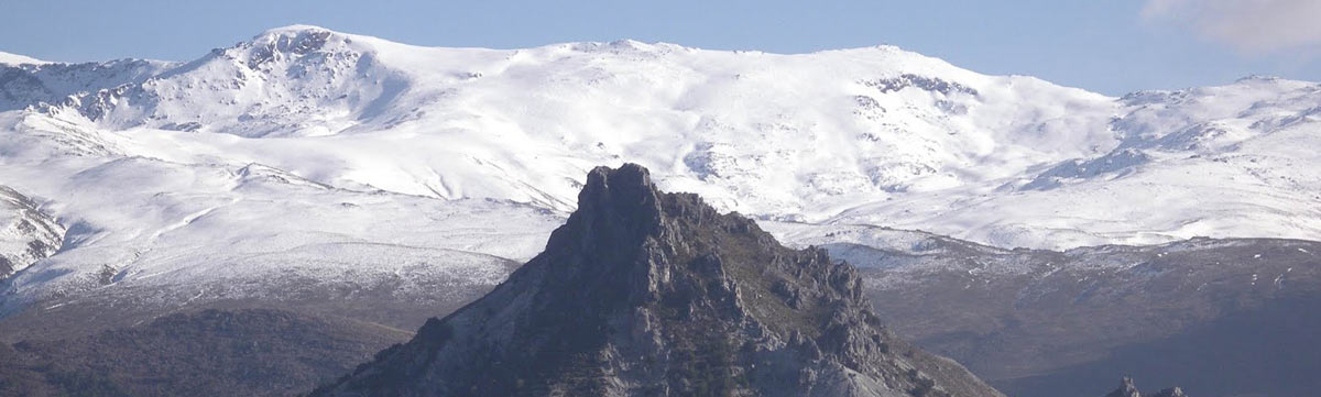 Socios de la Peña