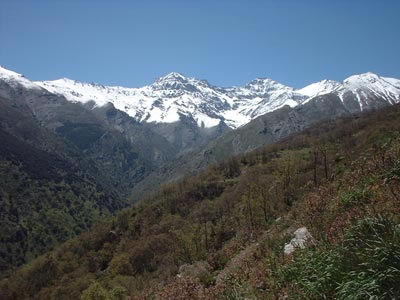 foto1